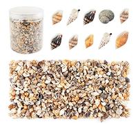 Weoxpr 2000 Pcs Tiny Sea Shells Mixed Ocean Beach Spiral Seashells Craft Charms for Home Decorations, Beach Theme Party, Candle Making, Wedding Decor, DIY Crafts, Fish Tank and Vase Filler(5 - 12mm)