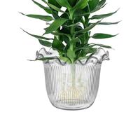 Weqizuerqi Decorative Vases for Home Decor - Transparent Vase | Water Plant Container for Hotel Lobby Bookshelf Wedding Centerpiece Holiday Workplace Event Staging Balcony