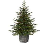 WeRChristmas 4 Ft Pre-Lit Potted Grand Fir Artificial Christmas Tree, 100 Warm White Leds