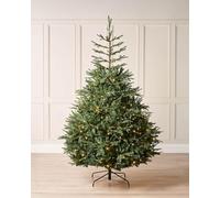 WeRChristmas 7ft Pre-Lit Grand Nordmann Fir Christmas Tree