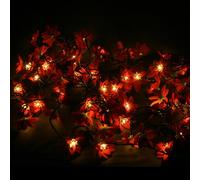 WeRChristmas 80-LED Lights String with 13 m Cable and Red Poinsettia Flowers/Gold Buds
