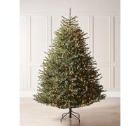 WeRChristmas 8ft Pre-Lit Foxtail Pine Christmas Tree | 900 Warm White LEDs, Mixed PE & PVC V-Cut Branches, Tinsel Bark Effect, 157.5cm Diameter, 2.4m Tree