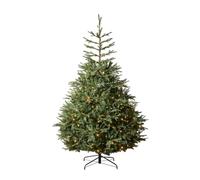 WeRChristmas 8ft Pre-Lit Grand Nordmann Fir Christmas Tree | 5277 Mixed PE & PVC Tips, 820 Warm White LEDs, 8 Light Modes, 152cm Diameter, Metal Stand, 2.4m Tree