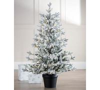 WeRChristmas Christmas Tree, Green, 3 ft