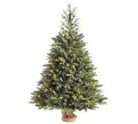 WeRChristmas Norway Spruce Potted Christmas Tree with 190 Chasing Warm LED Lights, Multi-Colour, 5 feet/1.5m
