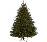 WeRChristmas Pre-Lit Foxtail Pine Christmas Tree, 8 Ft