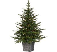 WeRChristmas Pre-Lit Grand Fir Potted Christmas Tree, 100 Warm White LED Lights, Green, 4 ft / 120 cm