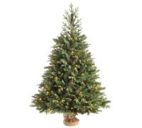 WeRChristmas Pre-Lit Norway Spruce Potted Christmas Tree, 6 ft