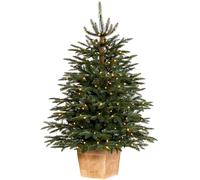 WeRChristmas Pre-Lit Potted Alaskan Fir Christmas Tree, 150 Warm White LED Lights, Green, 4 ft / 120 cm