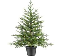 WeRChristmas Pre-Lit Potted Douglas Fir Christmas Tree, Green, 3 ft