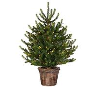 WeRChristmas Pre-Lit Potted Dwarf Fir Christmas Tree, 100 Warm White LED Lights, Green, 3 ft / 90 cm