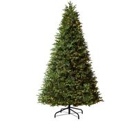 WeRChristmas Pre Lit Royal Fir Christmas Tree 9Ft