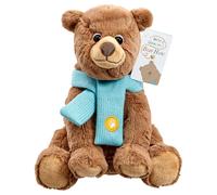Rainbow Designs Official We're Going On a Bear Hunt Soft Toy - Super Soft Brown Bear for Toddlers and Babies - Soft Teddybear