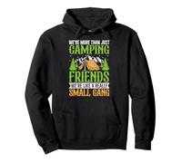 We're More Than Just Camping Friends We're Like A Really Sma Pullover Hoodie