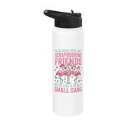 We're More Than Just Scrapbooking Friends Stainless Steel Insulated Water Bottle