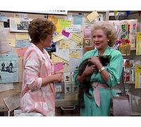 We're Outta Here (Part 1)