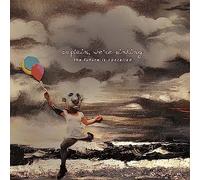 We're Sinking Captain - The Future Is Cancelled (10 Year Anniversary Edition) [VINYL]