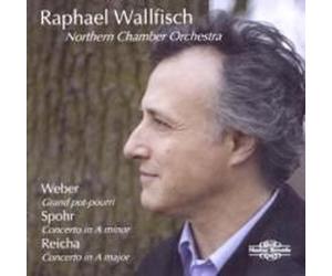 Werke Fr Violoncello Und Orchester - Raphael Wallfisch Compact Disc