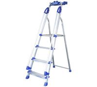 Werner Workstation 4 Tread, Silver