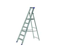 Werner Platform Stepladder 6 Tread MasterTrade