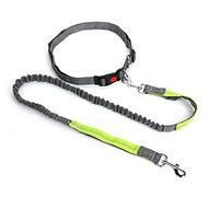 Werse Explosion-Proof Rushed Elastic Nylon Pet Running Traction Rope Hyena - Gray+Green - 2.5 * 124Cm(Rope Length 124-175Cm, Belt 70-128Cm)