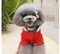 Werse Pet Christmas Costume - Female - Xl