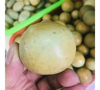 WERWER 40-50g Natural Luminous Stone Oval Original Stone Crystal Crystal Ball Home Decoration Ball Desktop Ball Crafts (Color : Light Yellow)