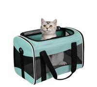 Werwing Bird Travel Cage Carrier - Portable Backpack for Small Birds | Collapsible, Breathable & Secure Carrier for Parakeets, Parrots and Finches
