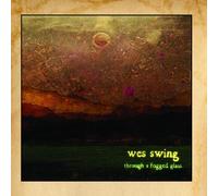 Wes Swing - Through a Fogged Glass