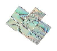 WESIEVYA 10pcs Abalone and Shell Inlay Strips for Guitar Sound Hole Decoration Natural Shell Decoration Material for Diy Guitar Accessory and Music Wall Decor
