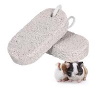 WESIEVYA 2 Pcs Rectangular Volcanic Rock Pet Teeth Grinding Stone with Calcium Mineral, Safe to Chew for Small Pets like Mouse and Squirrel, Effective Molar Tool for Dental Care