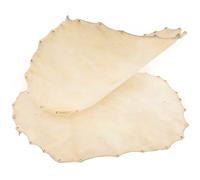 WESIEVYA 2pcs 30cm African Drum Leather Covers Replacement Goat Skin Drum Heads for Conga Percussion Instrument