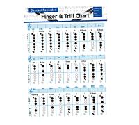 WESIEVYA Bass Recorder Chord Chart and Practice Guide for Beginners with 8-hole Fingering Diagram, Bass Flute Music Chart for Student Learning and Clarinet Supplies