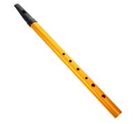 WESIEVYA Flute Irish Tin Whistle for Beginners Key of c Portable Design Easy to Play for Students and Adults for Music Practice and Folk Tunes