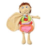 WESIEVYA Human Organ Plush Toy Educational Anatomy Doll for Preschool Boys Soft Fabric Body Puzzle Toy Early Learning Aid for Kids