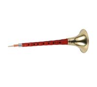 WESIEVYA Wooden Suona Instrument for Beginners Ebony and Rosewood g Key Random Color Accessories for Children and Traditional Music Practice