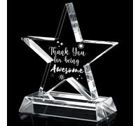 Wesiti Employee Appreciation Thank You Gift Awards 5" Recognition Crystal Trophy Awards Gifts Appreciation Plaque Gifts for Women Men Employees Nurse Coworkers Staff Teacher Student