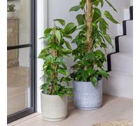 Wesley Marble Blue Planter H22cm D26cm Ivyline Blue One Size