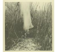 WESSELTOFT / OKKYUNG LEE,JON - Piper [VINYL]