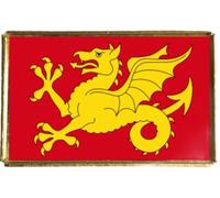 Wessex County England Gold Colour Badge With A Velveteen Bag