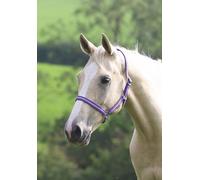 Shires Wessex Purple/Lilac Headcollar - Cob