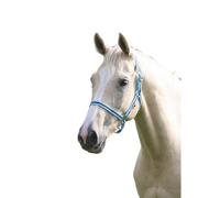 Wessex Horse Headcollar Cambridge/navy (Cob)