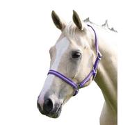Wessex Horse Headcollar Purple/lilac (Cob)