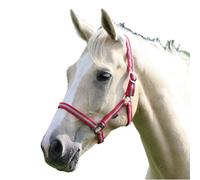 Wessex Horse Headcollar Red/silver (Cob)