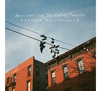 West Aaron and the Roaring Twenties - Routine Maintenance