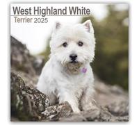 West Highland Terrier 2025 Square Wall Calendar | Dog Breed Calendar