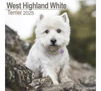 West Highland White Terrier Calendar 2025 - Square Wall Calendar