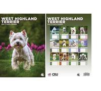 West Highland Terrier 2026 Calendar - A3 Size 30 x 42 cm, 12 Months of Great Photography