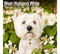 West Highland Terrier 2026 Calendar | Square Wall Calendar | Dog Breed Gift | Plastic Free Packaging | by Avonside Publishing
