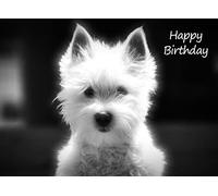 West Highland Terrier Black and White Art Birthday Card